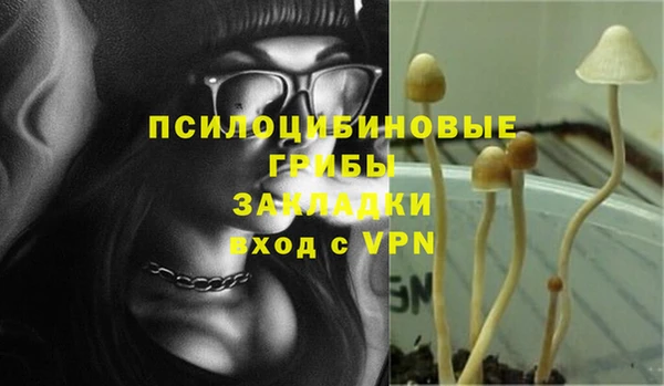 ПСИЛОЦИБИНОВЫЕ ГРИБЫ Пестово