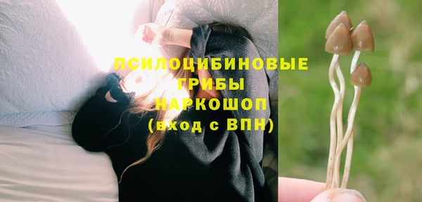 mdma Белокуриха
