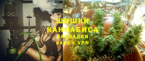 ПСИЛОЦИБИНОВЫЕ ГРИБЫ Пестово