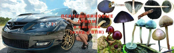 трава Белоозёрский