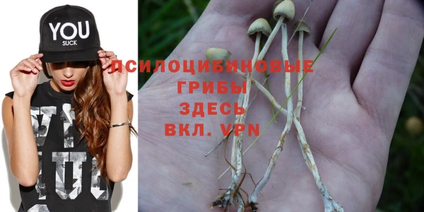 MESCALINE Переславль-Залесский