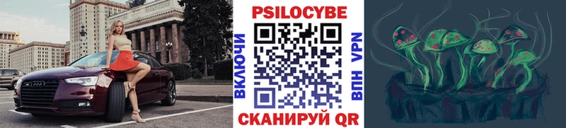 купить наркоту  Завитинск  Галлюциногенные грибы Psilocybine cubensis 
